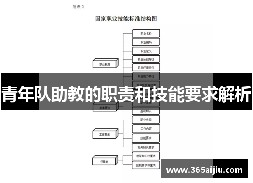 青年队助教的职责和技能要求解析